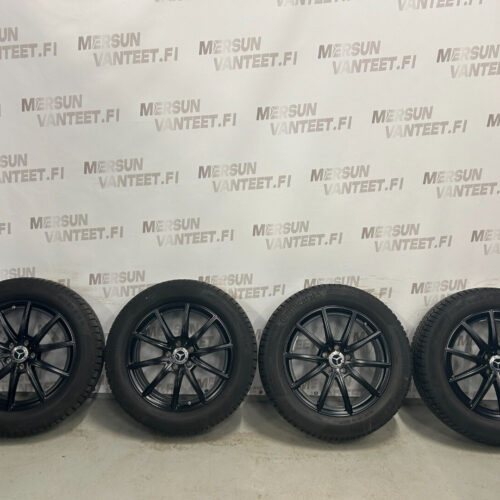 Mercedes-Benz rengassarja - Mercedes-Benz W243 EQA EQB, kuva 1