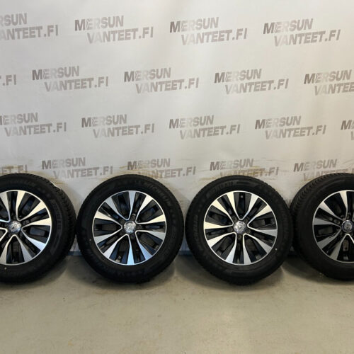 Mercedes-Benz rengassarja - Mercedes-Benz W177 W247 C118, kuva 1